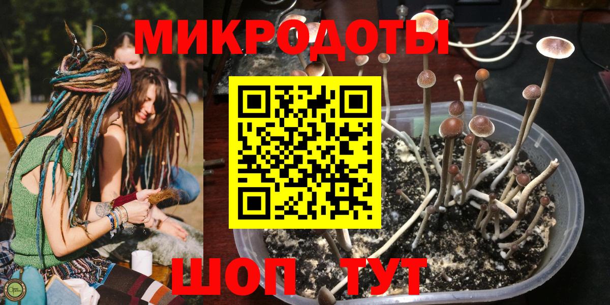 Псилоцибиновые грибы Cubensis Липецк