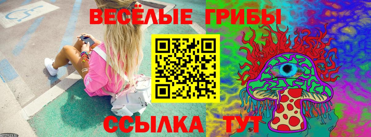 Галлюциногенные грибы MAGIC MUSHROOMS  Вход с VPN  Липецк 